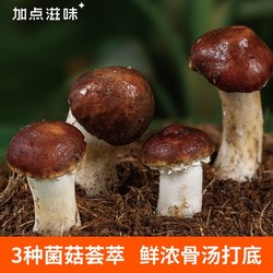 Taste Matters 加点滋味 云南姬松茸菌菇汤料包100g