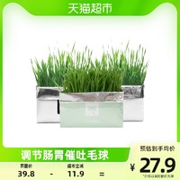 Vetreska 未卡 去毛球无土壤水培种植猫草猫零食燕麦草狗尾巴草3包组合装