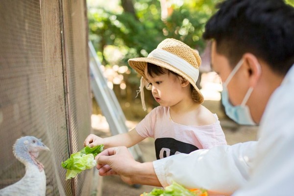 日历房5折住130平带泳池别墅！金茂三亚亚龙湾丽思卡尔顿酒店 丽园居一居家庭泳池别墅1晚（双早+300元餐饮代金券+草坪帐篷+泳池电影之夜+旅拍等）