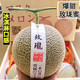 日本引进静冈瓜品种 网纹瓜 10斤装 3-4个