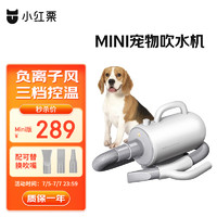 REDMINUT 小红栗 吹水机宠物吹风机狗狗吹水机吹毛吹干神器低噪大功率大型犬Mini白