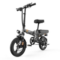 绿源折叠电动车电动自行车 代驾外卖 超长续航轻便折叠铝合金车架 TCQ 流星灰(48V28A)预计7天左右发货