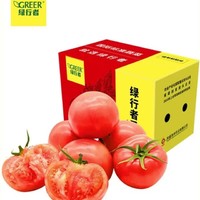GREER 绿行者 自然熟沙瓤西红柿 5斤