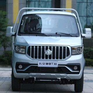 长安凯程 神骐T30 23款 1.6L 单排3.3米复合板厢货舒适型(非空调) CNG