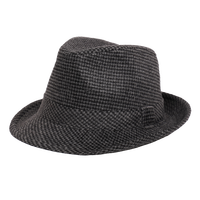 盛锡福 帽子男士千鸟格小檐礼帽21秋冬舞台帽绅士帽男款小檐定型帽 灰色 57cm