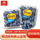 新鲜蓝莓    125G/盒 6盒 中果12MM-15MM  京东冷链