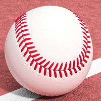 DLIWEIK 杜威克 棒球9寸软硬实心中考用棒球比赛训练打棒球 两只装