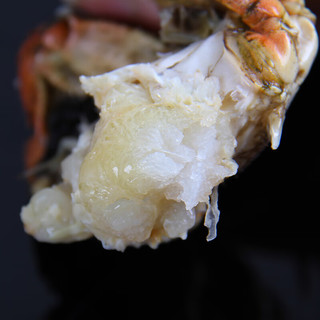 隆上记 大闸蟹鲜活 公3.0-3.3两 母2.0-2.3两 5对10只 现货实物螃蟹礼盒 生鲜 海鲜水产