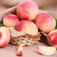 YUBAO 豫宝 灵宝大桃子 红不软 硬桃脆甜水蜜桃 产地直发助农 5斤约15个左右