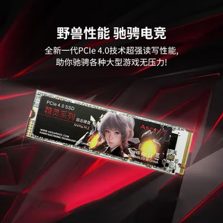 Asgard 阿斯加特 精灵系列 ELF NVMe M.2 固态硬盘 2TB（PCI-E4.0）