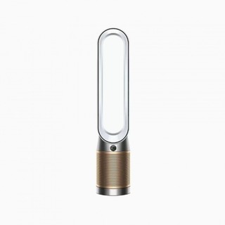 dyson 戴森 国行戴森·TP09空气净化器风扇家用卧室循环净化除甲醛凉风