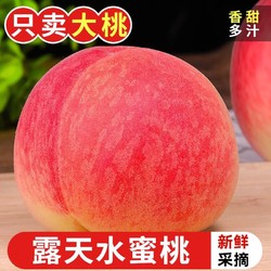 水果 探味君 新鲜水蜜桃 应当季时令新鲜水果孕妇现摘脆甜青红毛软桃子整箱 5斤 中果（单果160g起）
