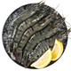 鲜京采 单冻黑虎虾 净重1kg+厄瓜多尔白虾1.5kg