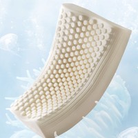 THAISEN 波浪海葵橡胶枕 94%乳胶含量
