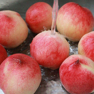 豫宝灵宝大桃子 水蜜桃  品质水果 脆桃红不软 产地助农家乡味道 5斤桃子