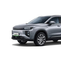 睿蓝汽车 睿蓝9 470km 引领版(电池租赁) 6座