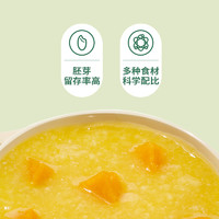 FangGuang 方广 婴幼儿营养粥银耳雪梨+南瓜小米+紫薯黑米组合80g*3辅食粥