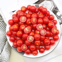 GREER 绿行者 樱桃番茄 1.5kg