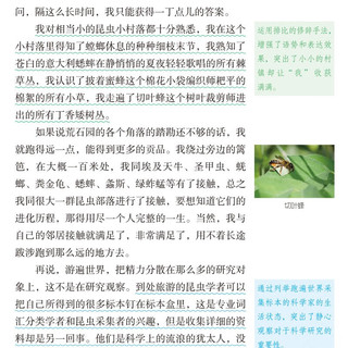 青少年通识文库：昆虫记 （名著导读·旁批旁注·有声伴读·无障碍阅读） 青少版学生名著导读无障碍阅读名著阅读考点解析