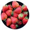果仙享 新鲜大凉山奶油巧克力草莓 1.5斤