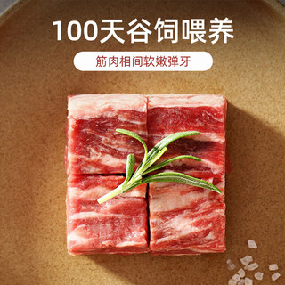 1号会员店 年货节促销！澳洲原切牛腩粒 牛肉 生鲜 1kg