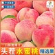 水蜜桃毛桃大桃子孕妇水果当季净重8.7斤山西新鲜现摘脆甜