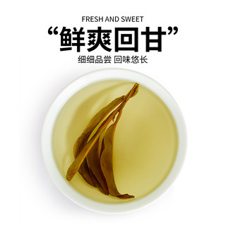 修正苦丁茶官方旗舰店搭蒲公英苦瓜特级非发酵的功效 买2送1-促销装（3罐）