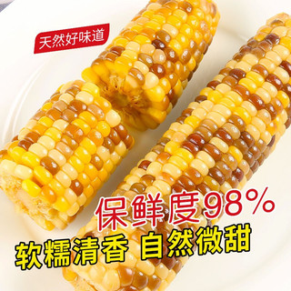 穗康 鲜食花糯玉米棒甜糯粘拉丝真空锁鲜烧烤食材非转基因彩糯粗粮代餐 花糯220g*6支