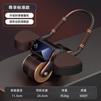 TEEODEEO Teeo Deeo健腹轮 自动回弹家用健身器材平板支撑训练器智能计时肘撑腹肌轮 黑色-标准款