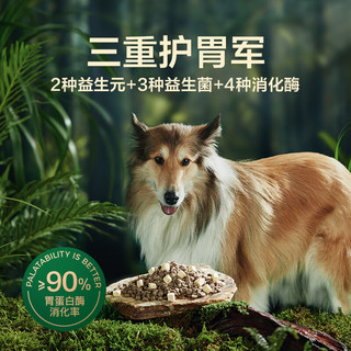 网易天成 全阶段通用狗粮 2kg