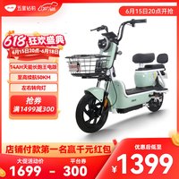 五星钻豹电动车新国标48V电瓶车男女代步车轻便两轮电动自行车 B10 B10-14铅酸版 元气绿
