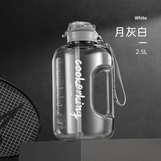 炊大皇 大容量水杯桶 Tritan耐高温健身运动水壶太空杯男顿顿桶水瓶 月灰白2.5L+便携提手+双饮口