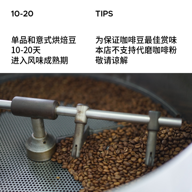 治光师 BEAM TIMER 耶加雪菲 水洗 74110 手冲咖啡豆100g