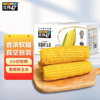 红允北纬47度玉米有机玉米绿色鲜食正宗黑龙江新鲜糯玉米老式粗粮 200g白糯玉米(兢农) 2支装