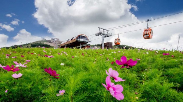 奥运山居避暑，住80㎡一卧套房！北京太舞小镇雪麓居酒店1晚含早，缆车+温泉+高尔夫体验等