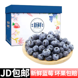 蓝莓 125g*6盒 单颗12-15mm+ 京东冷链