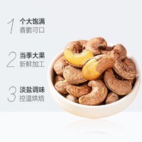 Snack holiday 零食假日 紫皮腰果518g罐装 盐焗带衣腰果仁 坚果零食干果