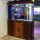 SUNSUN 森森 鱼缸1.5米大型龙鱼缸超白水族箱免换水客厅落地家用缸金鱼缸