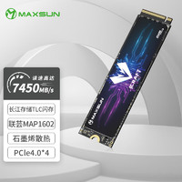 MAXSUN 铭瑄 电竞之心 Pro NVMe M.2固态硬盘 4TB（PCI-E4.0）