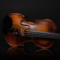 Christina 繆斯專業級考級小提琴兒童成人初學者實木演奏小提琴