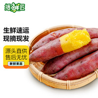 京东生鲜 红薯鲜生 烟薯 单果重150-400g 2.5kg