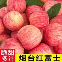 HOMES 红富士 山东苹果红富士当季新鲜水果冰糖心丑苹果清脆超甜 买3斤+2斤(超甜多汁)中果