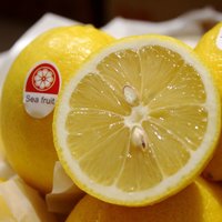 赣馨园 黄柠檬 特一级黄柠檬 新鲜水果 水果 整箱 29斤 100-130g