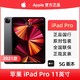 Apple 苹果 21款Apple/苹果 iPad Pro 11英寸 5G平板电脑 国行正品 全新原封