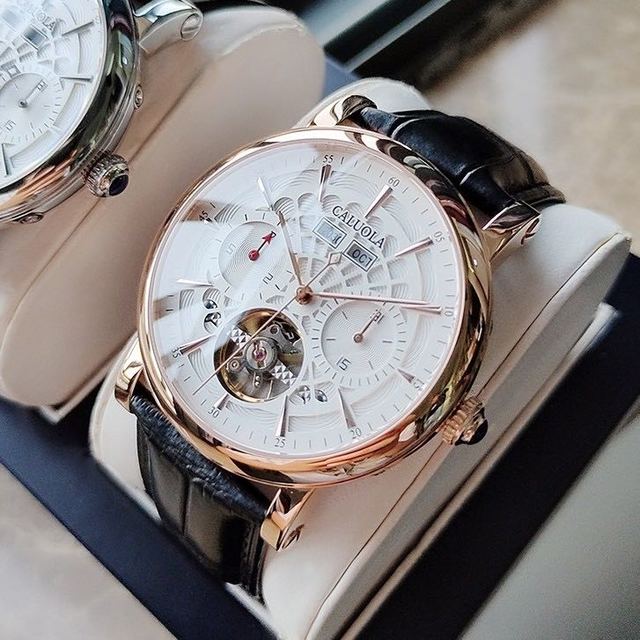 抖音超值购：CALUOLA 卡罗莱 名牌卡罗莱手表推荐全自动机械表男手表皮表带高端腕表
