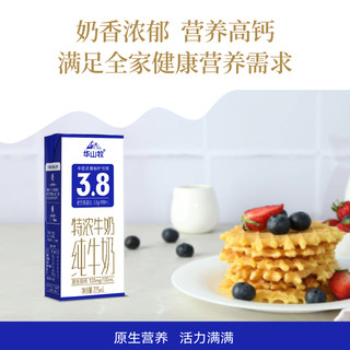 88VIP：华山牧 特浓纯牛奶3.8蛋白225ml*10盒早餐奶整箱健康营养