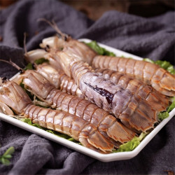 熟冻虾姑/皮皮虾/虾爬子(中大只母虾)  1*500g