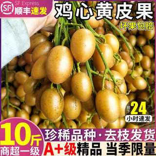 粤迎鸡心黄皮果无核广东茂名酸甜新鲜孕妇水果冰糖 鸡心黄皮5斤【A+级商超精品果