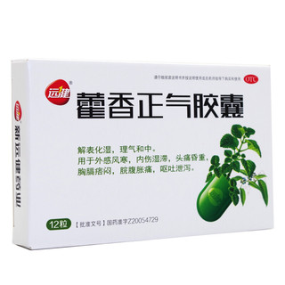 藿香正气胶囊 0.3g*12粒