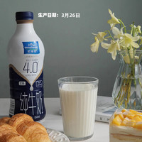 欧德堡 东方PRO 4g蛋白质 纯牛奶